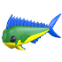 Mahi Mahi artwork
