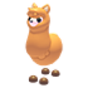 Alpaca artwork