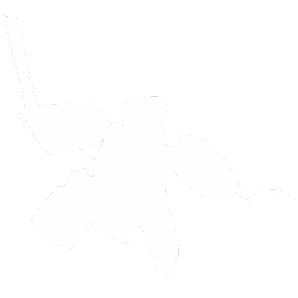 12 FPS artwork