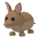 Bandicoot artwork