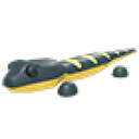 Salamander artwork