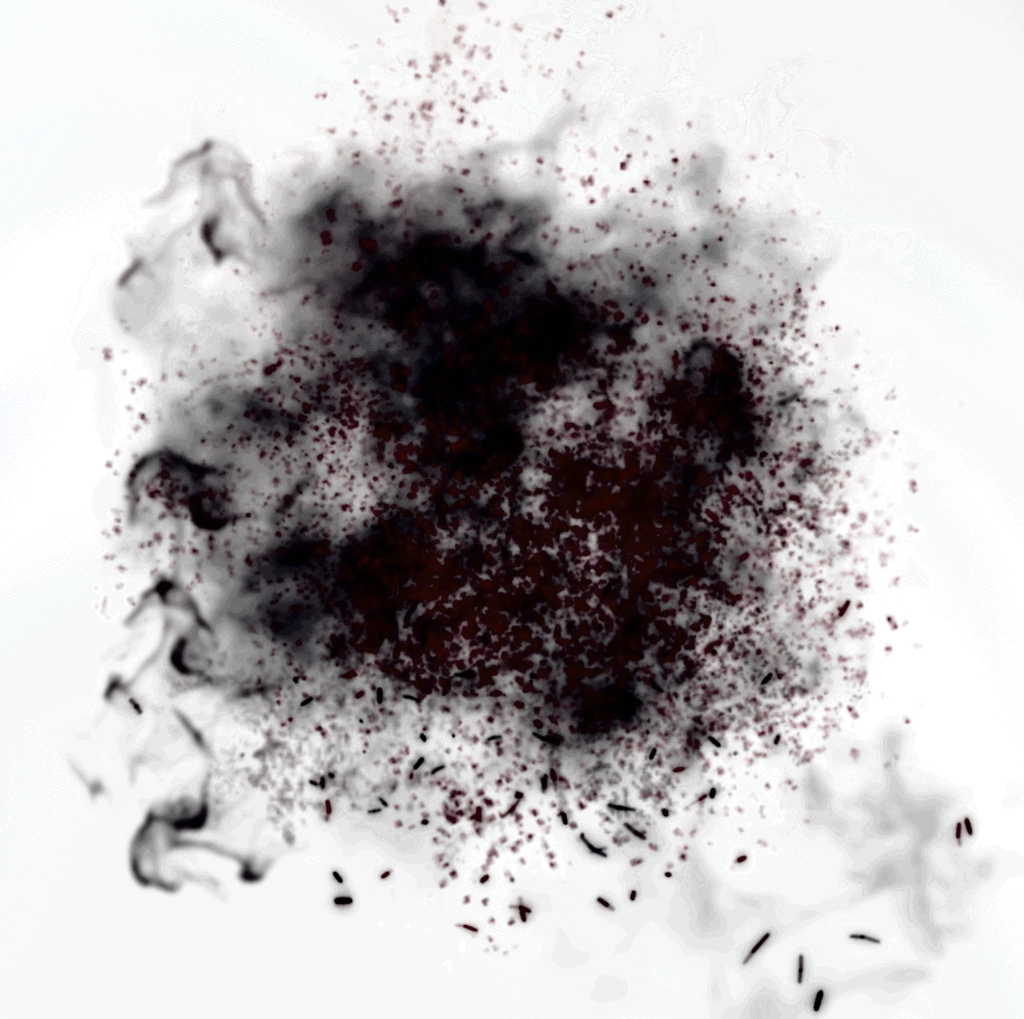 Bloodrot artwork