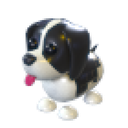 Black Springer Spaniel artwork