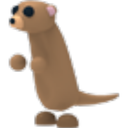 Meerkat artwork