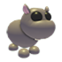 Hippo artwork