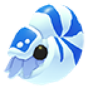 Nautilus artwork