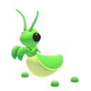Praying Mantis artwork