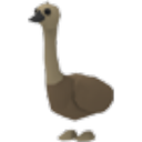Emu artwork