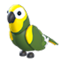 Green Amazon artwork