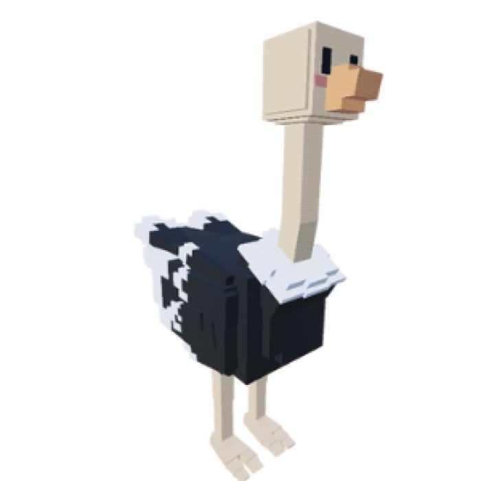 Ostrich artwork