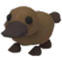 Platypus artwork