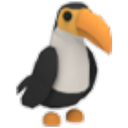 Toucan artwork