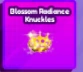 Blossom Radiance artwork