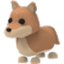 Dingo artwork