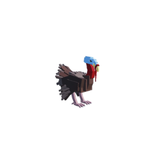 Turkey Bird artwork