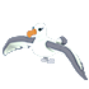 Albatross artwork