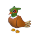 Brown-Chested Pheasant artwork