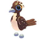 Roadrunner artwork