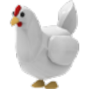 Chicken artwork