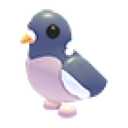 Wood Pigeon artwork