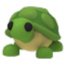 Turtle artwork