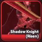 Shadow Knight (Risen) artwork