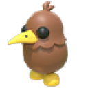 Kiwi artwork