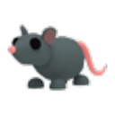 Rat artwork
