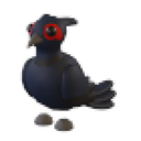 Black-Chested Pheasant artwork