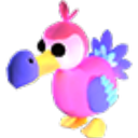 Dodo artwork