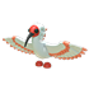 Ibis artwork