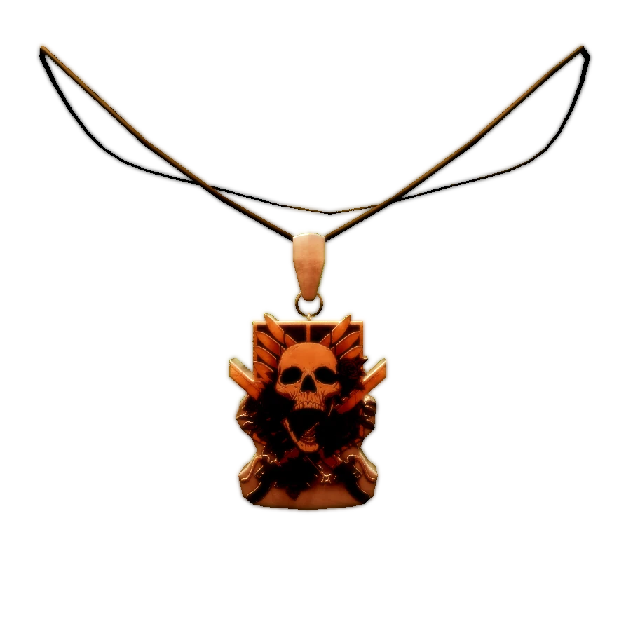 Warrior's Medallion artwork