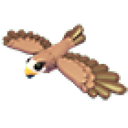 Black Kite artwork
