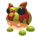 Ornate Horned Frog artwork
