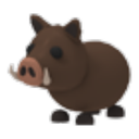 Wild Boar artwork