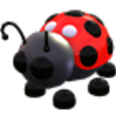 Ladybug artwork