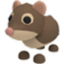 Shrew artwork