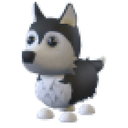 Husky artwork