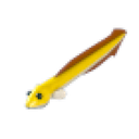 Eel artwork