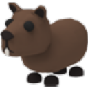 Capybara artwork