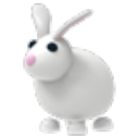 Rabbit artwork