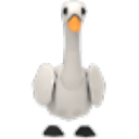 Swan artwork