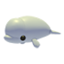 Beluga Whale artwork