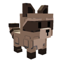 Raccoon artwork