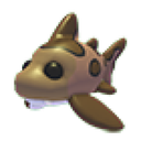 Leopard Shark artwork