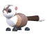 Black-Footed Ferret artwork