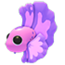 Pink Betta Fish artwork