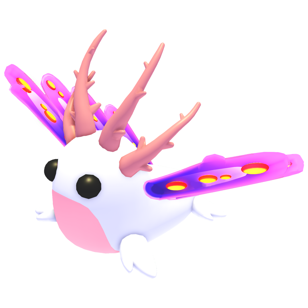 Sea Slug artwork