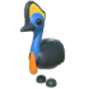 Cassowary artwork