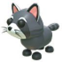Raccoon artwork